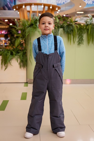 Batik (Батик) Брюки зимние Лэнгли 480-24з графит